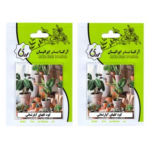کود گلهای آپارتمانی آرکا بذر ایرانیان کد 124 ark وزن 65 گرم مجموعه 2 عددی